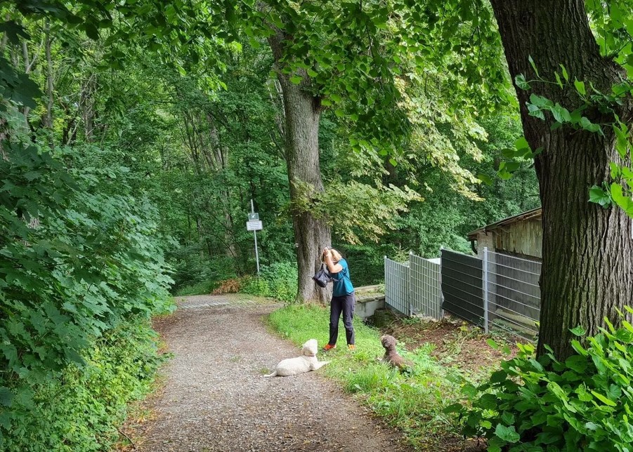 Etwas Exklusives in den Garten holen und seine Gäste überraschen